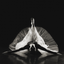 Dancing in Shadows