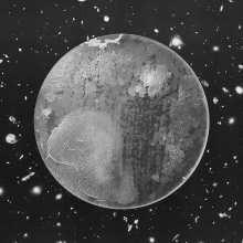A Micro Odyssey