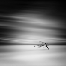 Against-the-Elements