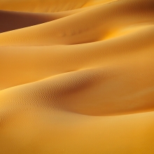 Desert Treasures