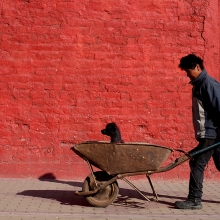 The man with the wheelbarrow