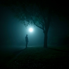 Enshrouded