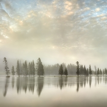 River of Silence