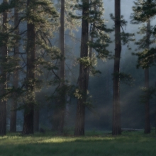 First Light At Yosemite National Park