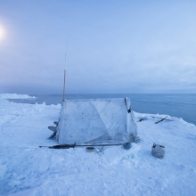 Iñupiat: People of the Whale