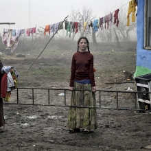 Life in the mud