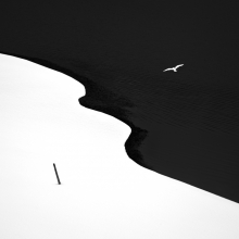 Entre noir et blanc
