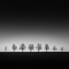 Linearity
