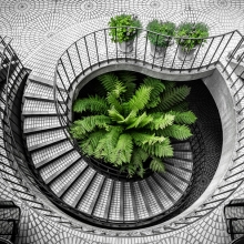 Urban Flora