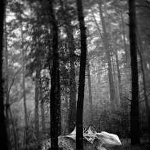 imaginary