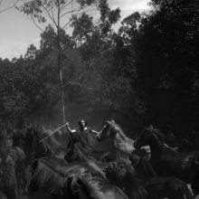 Wild Iberia