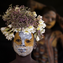 Flowers of Ethiopia 