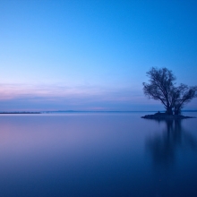 the blues