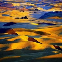 The Golden Fields