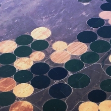 Circular fields