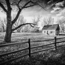 TR's Cabin 1
