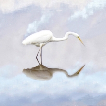 The Egret