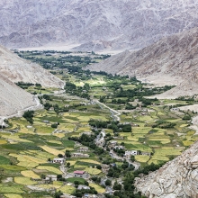 The green valley