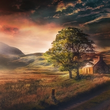 Wilderness