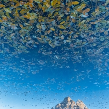 The magnificient illusion