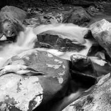 Waterscape Nude Series