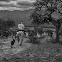 Gaucho Calchaquí