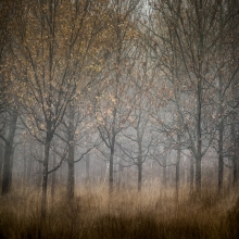 Autumn's End