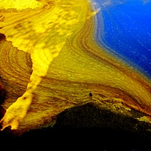 Shore