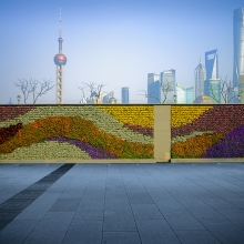 Urban jungle - a mirage  
