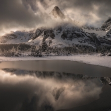 Frosted Kingdom