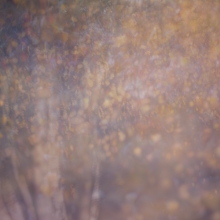 Untitled 187