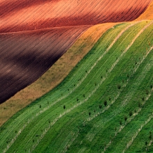 Diagonals