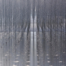 The enchanted forest.