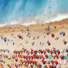 The Shore
