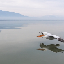 Crossing water