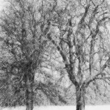 A Snowy Park