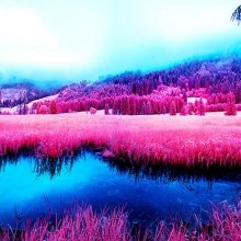 Infrared