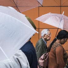 Umbrellas