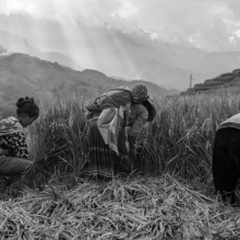 Mountainland: Vietnam North Nortwest