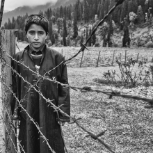 behind the fences