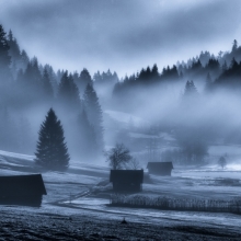 The Fog