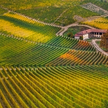 Barolo dall'Alto