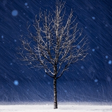 Alone in the blue