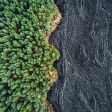 Lava meets Forest