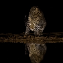 Silent and Stealthy