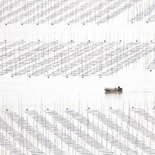 Coastal Geometries