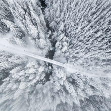 Winter Wonderland