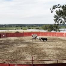 Behind the Bullfighting