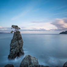 THE LONG SILENCE