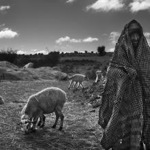 The Last Shepherds of Soria.